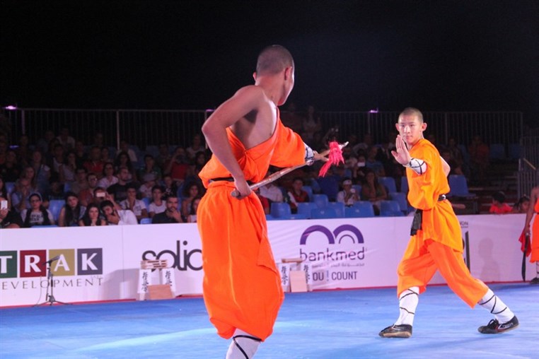 Martial Arts Festival
